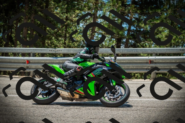 202507191250-DSC04567_c1_