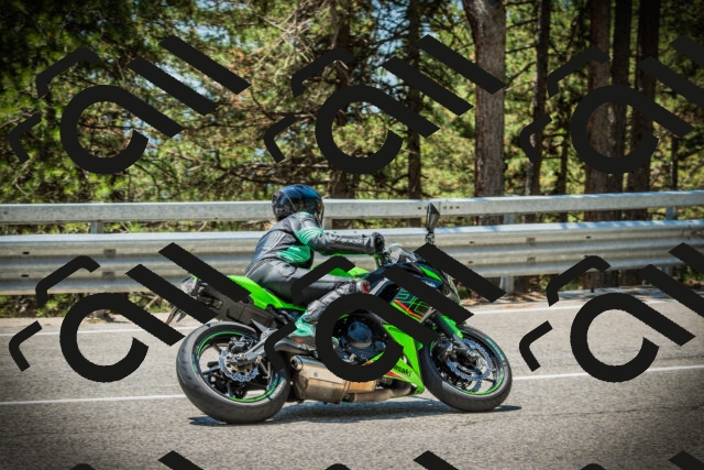 202507191250-DSC04568_c1_