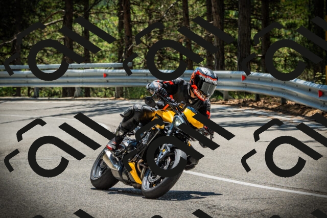 202507191250-DSC04572_c1_