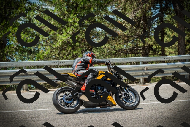 202507191250-DSC04574_c1_