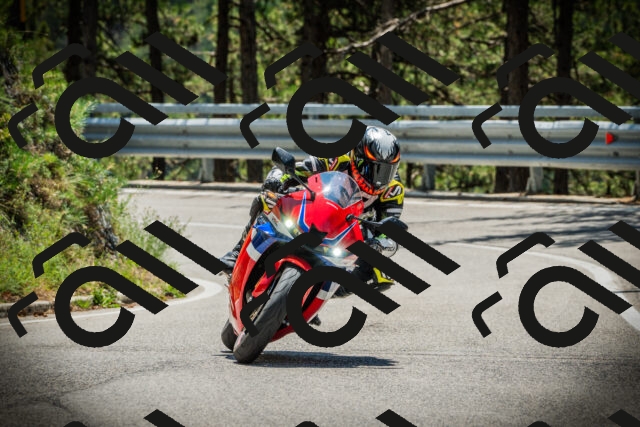 202507191250-DSC04577_c1_