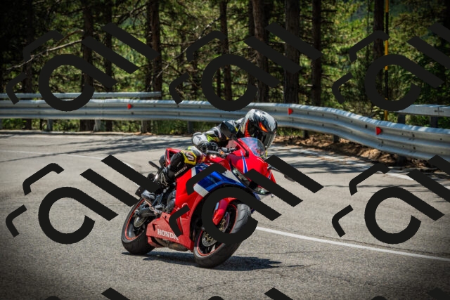 202507191250-DSC04578_c1_