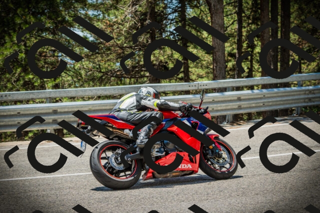 202507191250-DSC04580_c1_