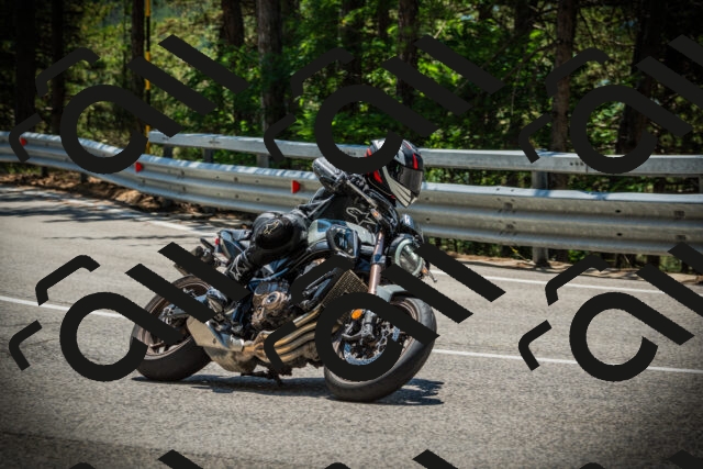 202507191250-DSC04583_c1_