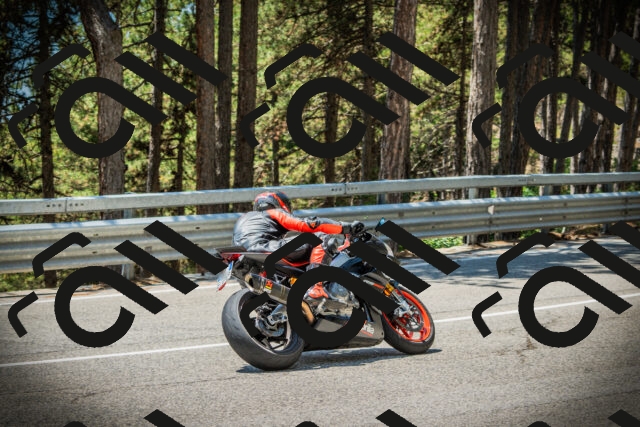 202507191251-DSC04596_c1_