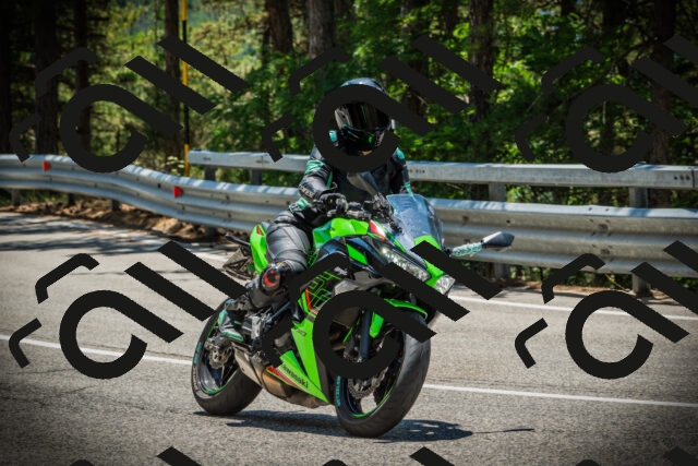 202507191252-DSC04608_c1_