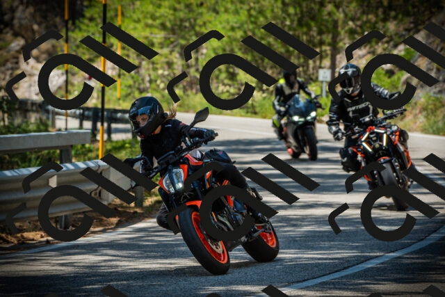 202507191254-DSC04632_c1_