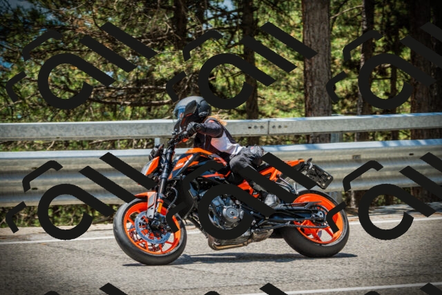 202507191254-DSC04633_c1_