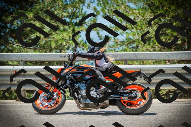 202507191254-DSC04634_c1_