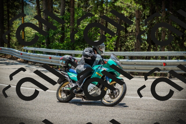 202507191255-DSC04645_c1_