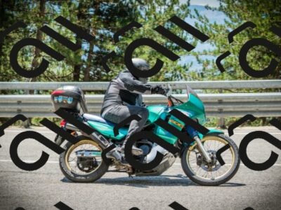 202507191255-DSC04646_c1_