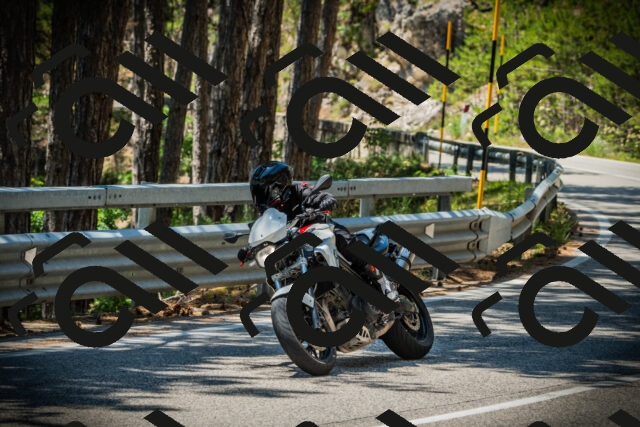 202507191255-DSC04650_c1_