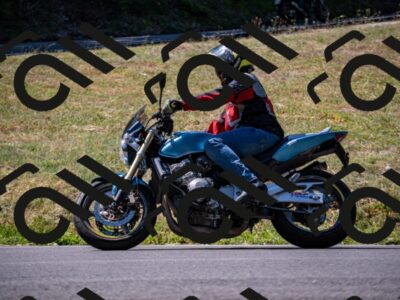 202507201105-_DSC5508_d2_