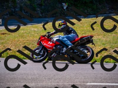 202507201108-_DSC5558_d2_