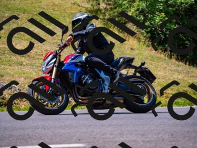 202507201116-_DSC5648_d2_