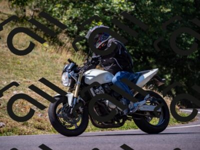 202507201116-_DSC5653_d2_