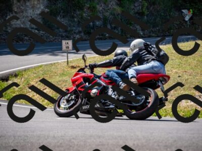 202507201133-_DSC5800_d2_