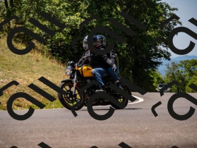 202507201147-_DSC5988_d2_