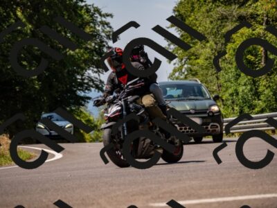 202507201147-_DSC5993_d2_