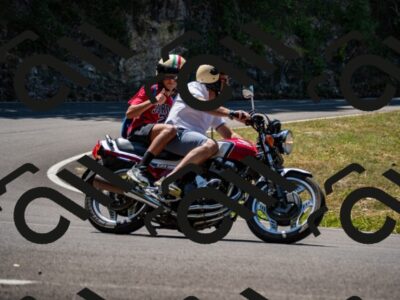 202507201156-_DSC6081_d2_