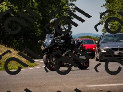 202507201158-_DSC6112_d2_