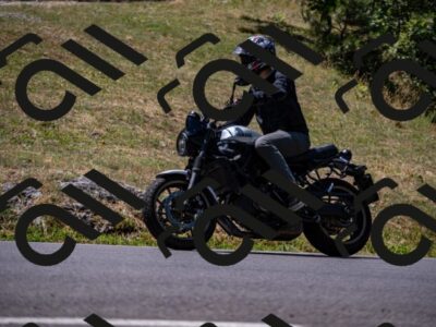 202507201159-_DSC6119_d2_