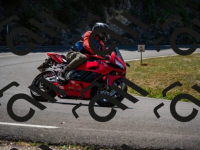 202507201212-_DSC6240_d2_