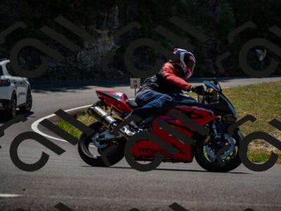 202507201217-_DSC6284_d2_