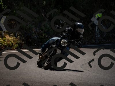 202507201217-_DSC6286_d2_