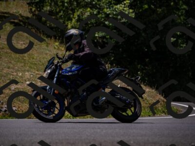 202507201221-_DSC6362_d2_