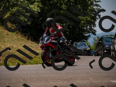 202507201225-_DSC6424_d2_