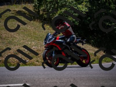 202507201225-_DSC6425_d2_