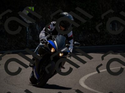 202507201225-_DSC6432_d2_