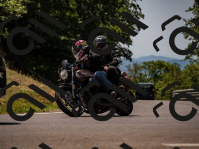 202507201237-_DSC6516_d2_