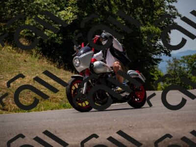 202507201241-_DSC6529_d2_