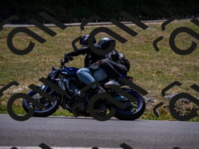 202507201241-_DSC6537_d2_