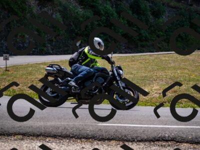 202507201256-_DSC6615_d2_