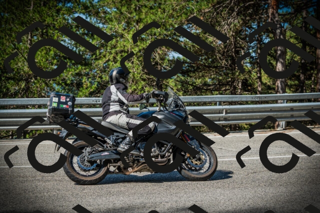 202507201003-DSC04765_c1_