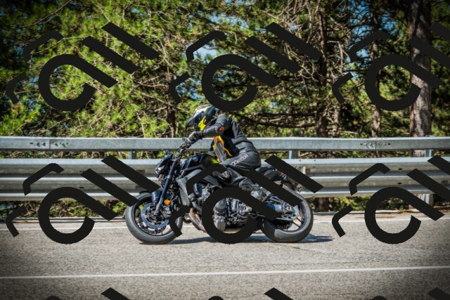 202507201003-DSC04768_c1_