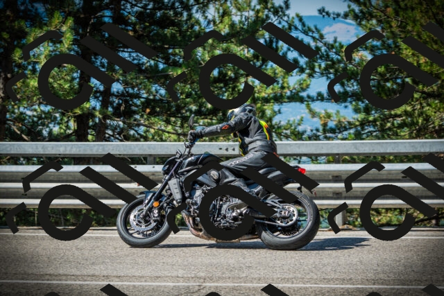 202507201003-DSC04769_c1_