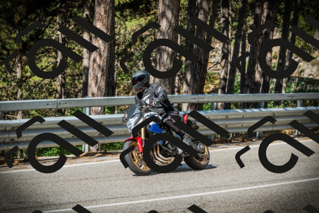 202507201003-DSC04772_c1_