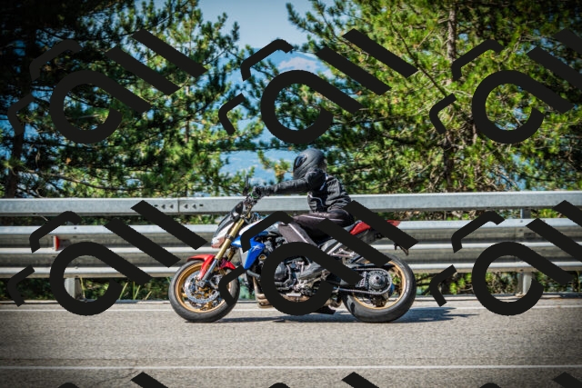 202507201003-DSC04773_c1_