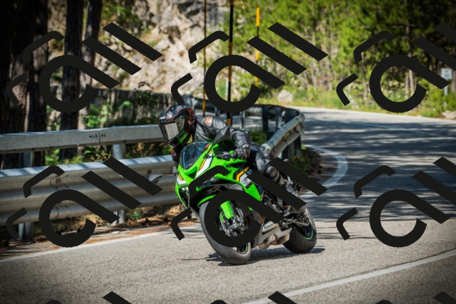 202507201004-DSC04775_c1_