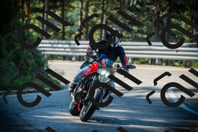 202507201004-DSC04779_c1_