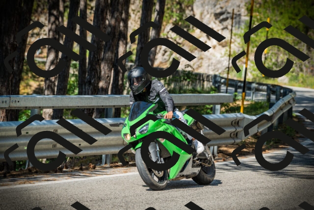 202507201008-DSC04795_c1_