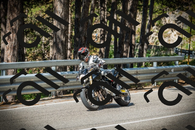 202507201009-DSC04800_c1_