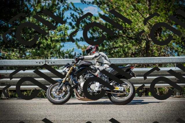 202507201009-DSC04801_c1_