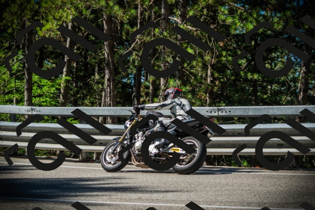 202507201009-DSC04802_c1_