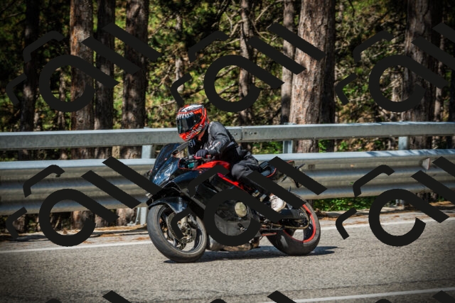 202507201010-DSC04812_c1_