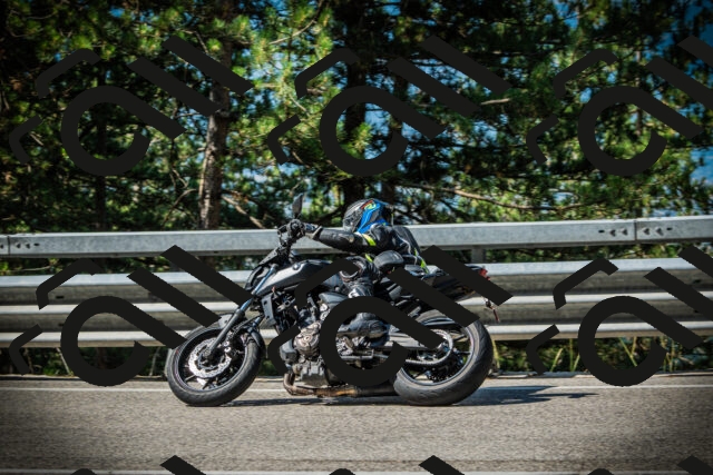 202507201010-DSC04815_c1_